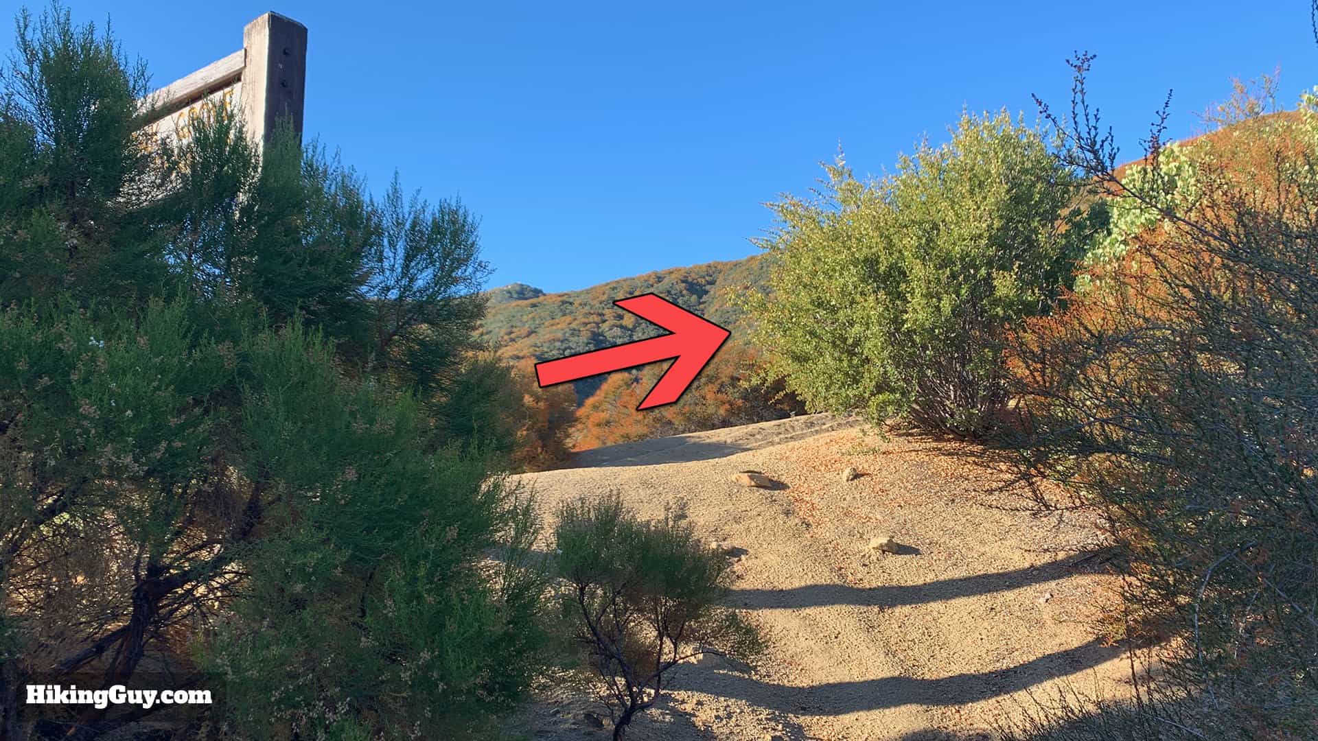 Oak Grove High Point Hike 18