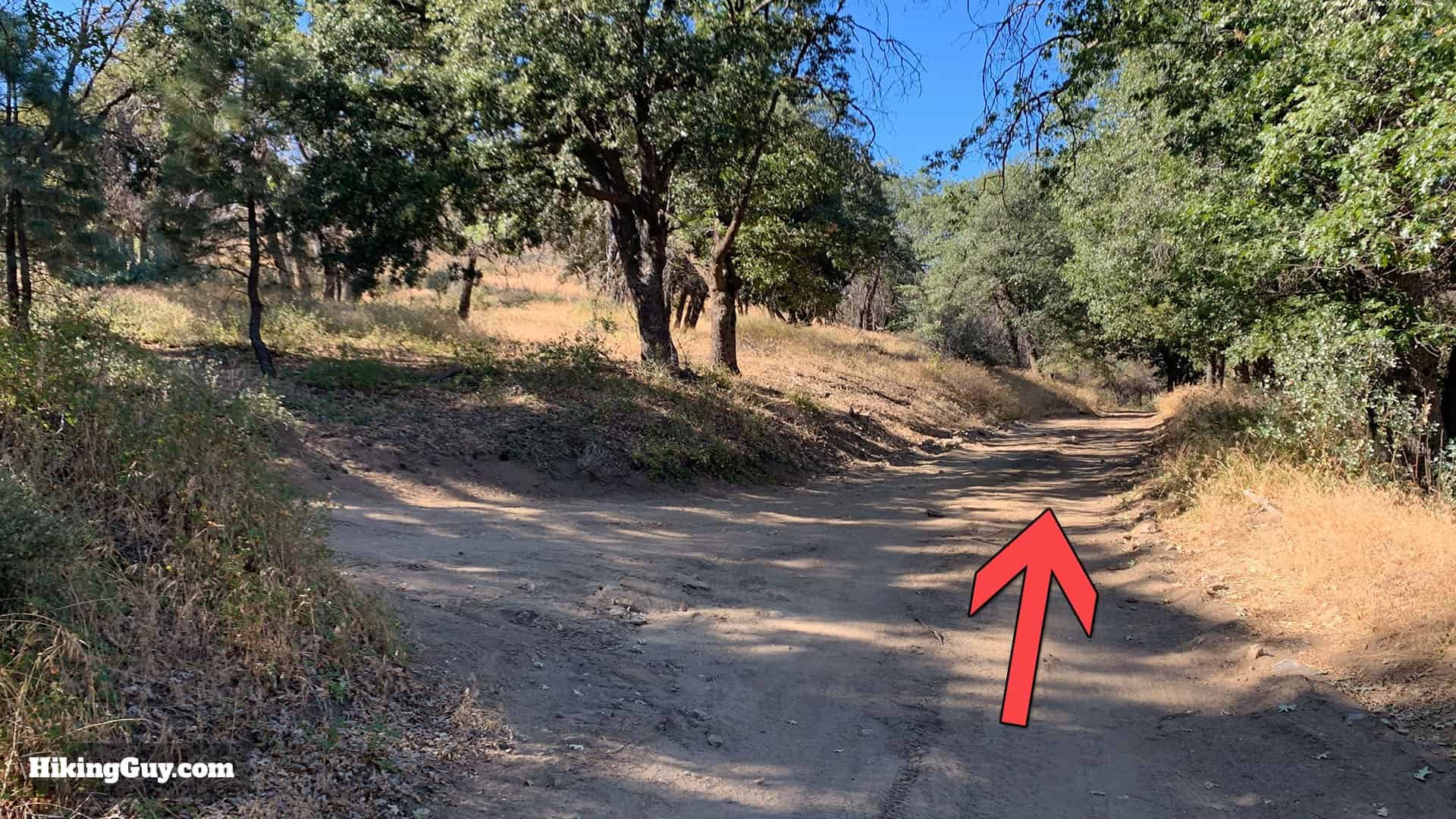 Oak Grove High Point Hike 27