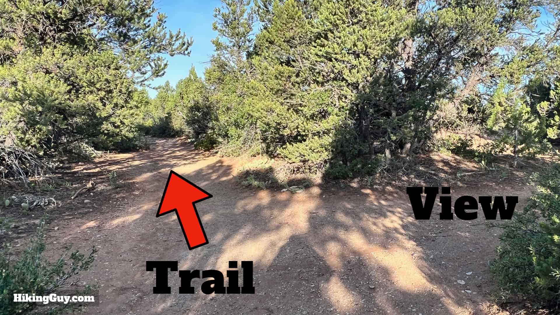 Observation Point From The East Mesa Trail Directions 15