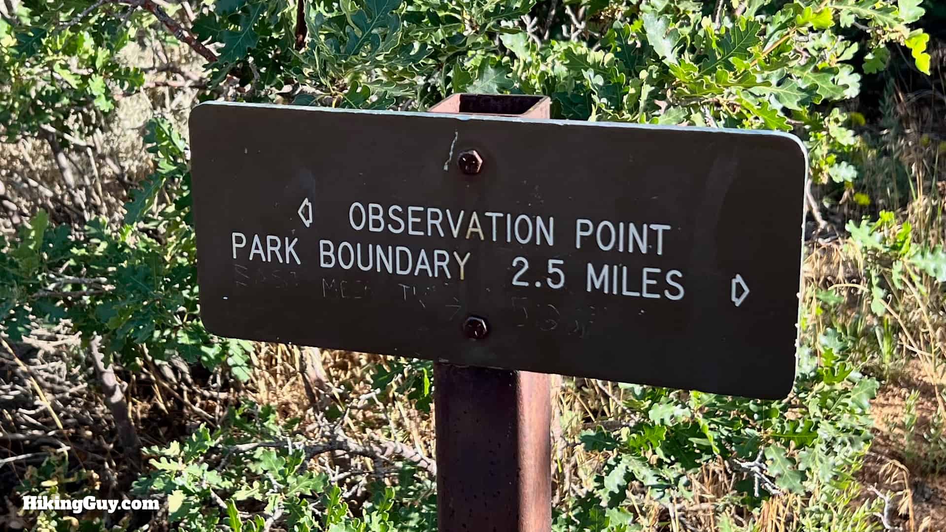 Observation Point From The East Mesa Trail Directions 20