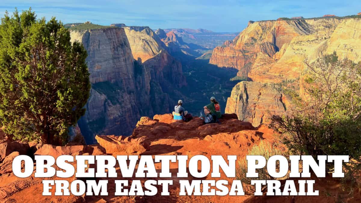 Observation Point From The East Mesa Trail (Zion)