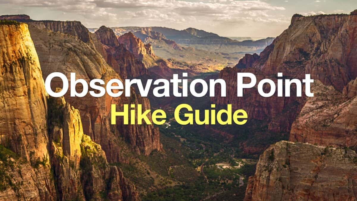 Observation Point Zion (East Mesa Trail)