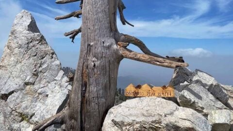 Hike Ontario Peak and Bighorn Peak