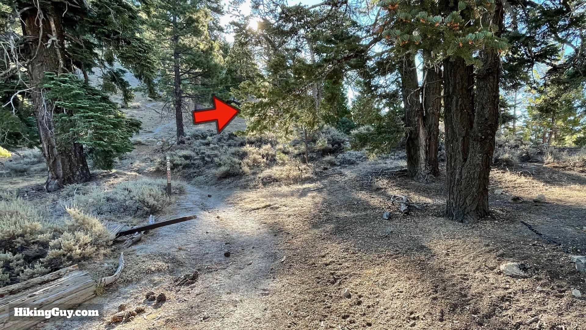 Pacifico Mountain Hike Directions 21