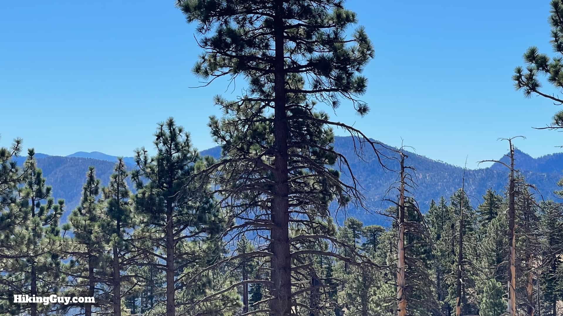 Pacifico Mountain Hike Directions 29