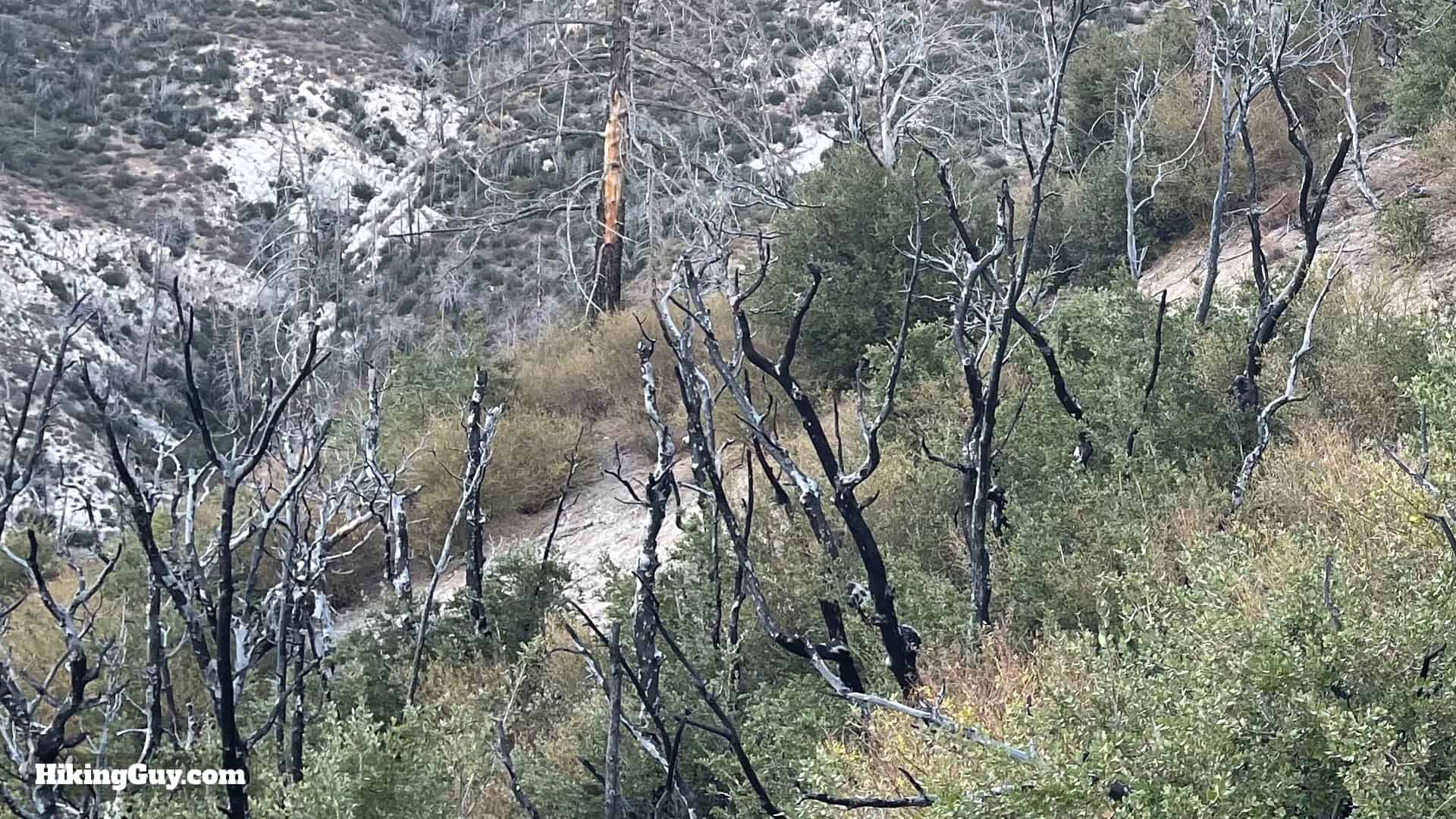 Pacifico Mountain Hike Directions 3