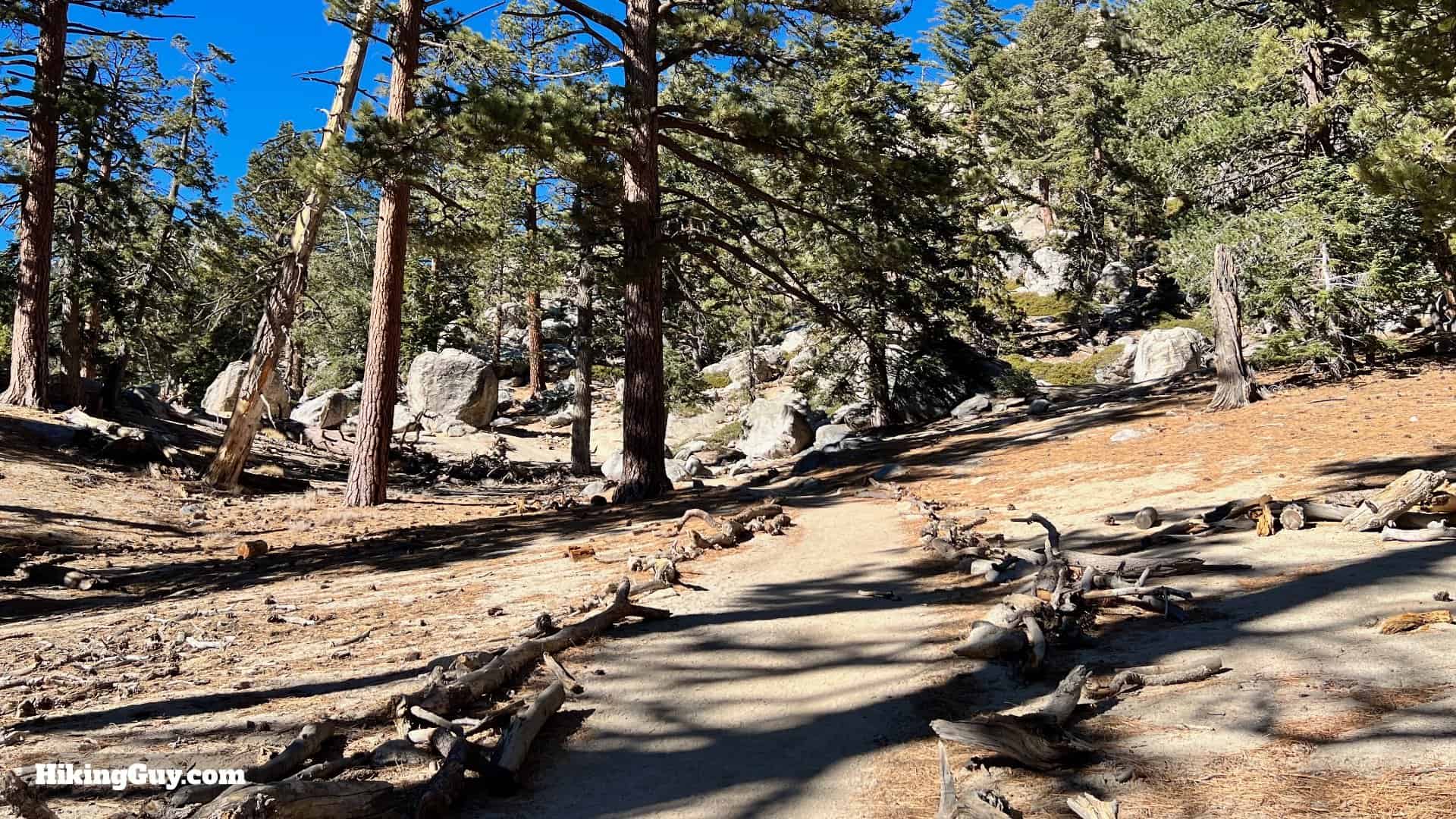 Palm Springs Tram To San Jacinto Directions Update 15