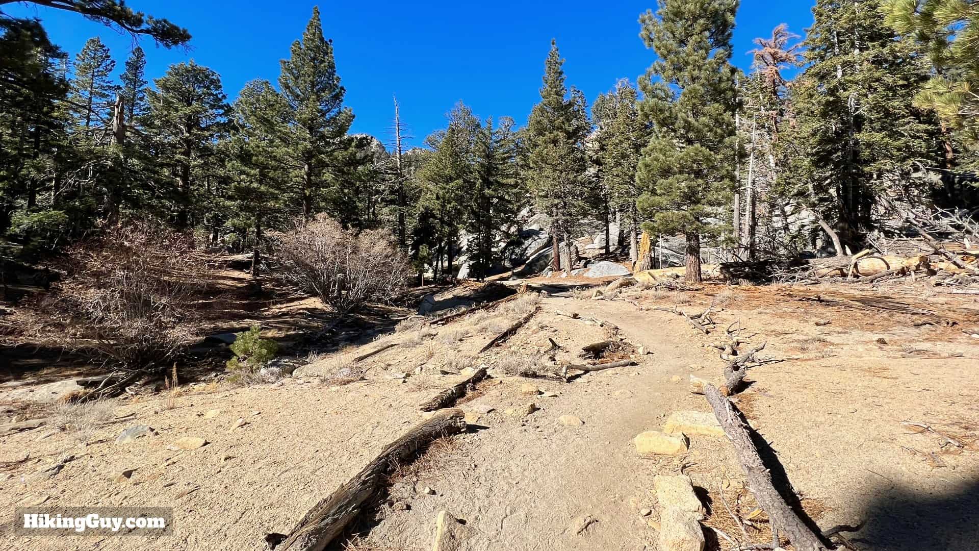 Palm Springs Tram To San Jacinto Directions Update 18