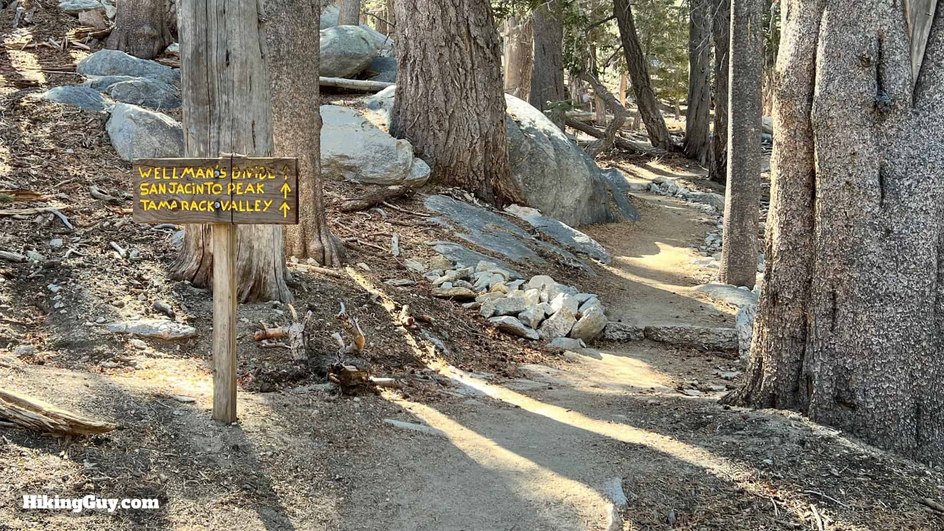 Palm Springs Tram To San Jacinto Directions Update 26