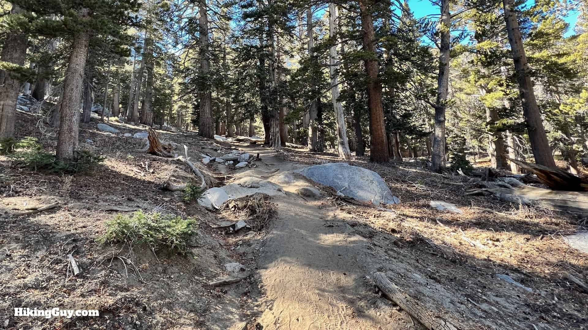 Palm Springs Tram To San Jacinto Directions Update 32