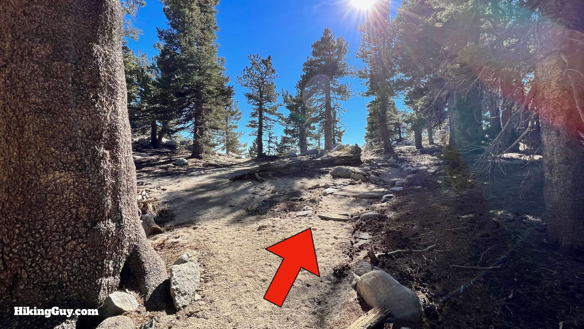 Palm Springs Tram To San Jacinto Directions Update 33