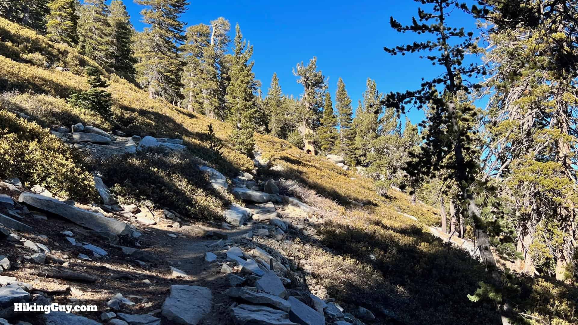 Palm Springs Tram To San Jacinto Directions Update 39
