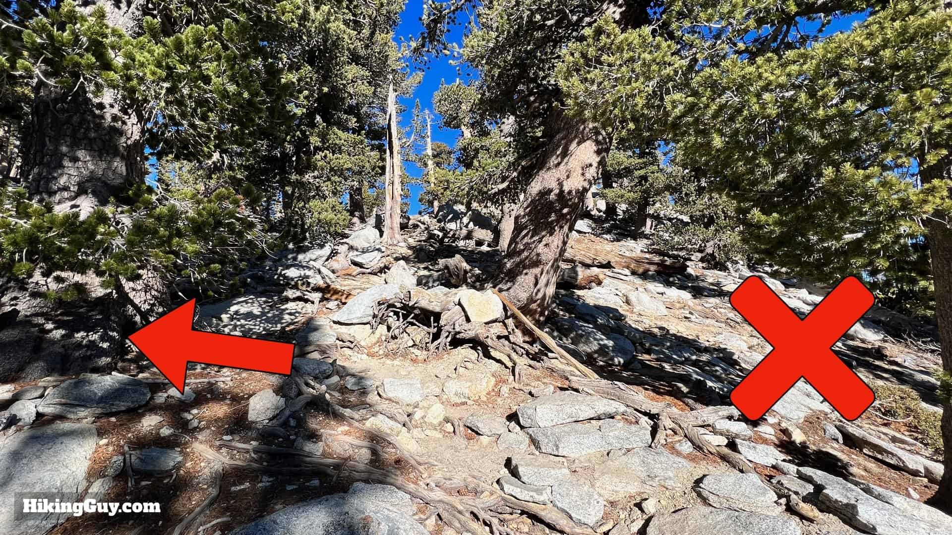 Palm Springs Tram To San Jacinto Directions Update 43