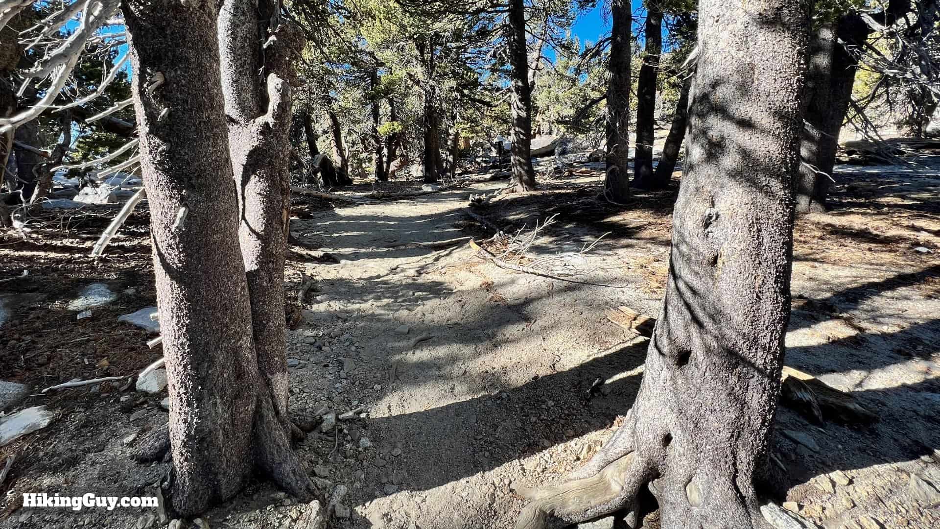 Palm Springs Tram To San Jacinto Directions Update 45