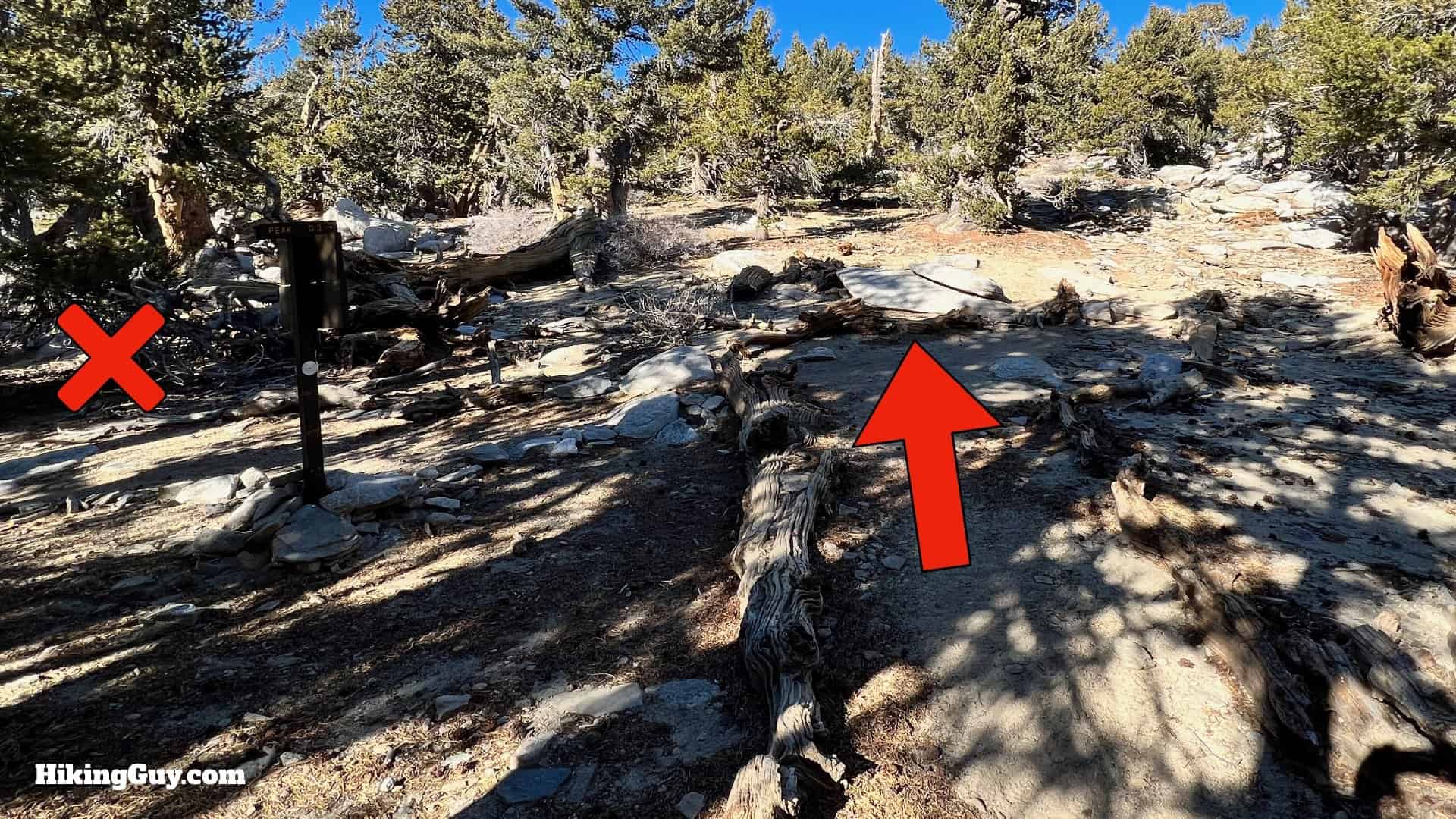 Palm Springs Tram To San Jacinto Directions Update 46