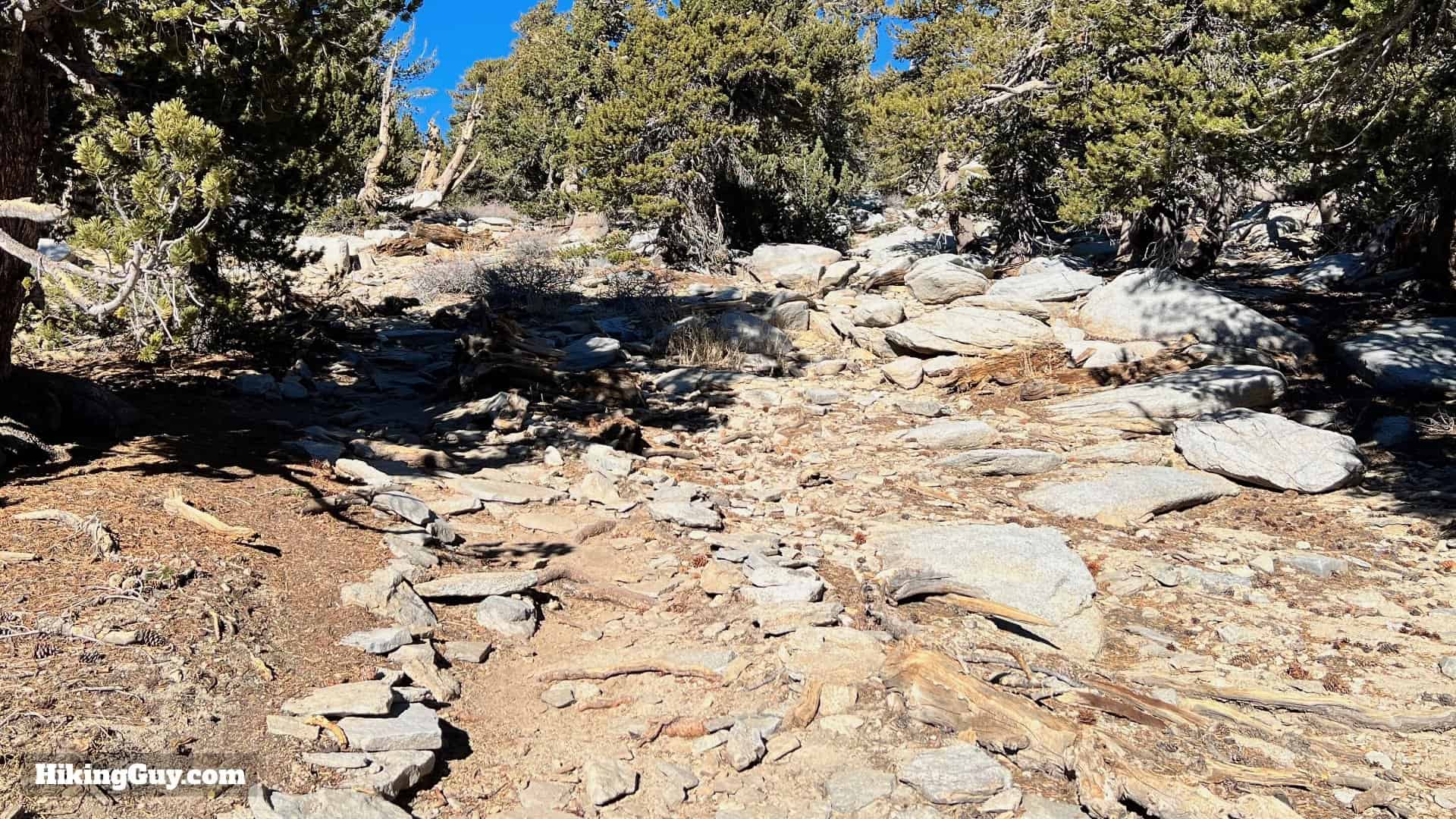Palm Springs Tram To San Jacinto Directions Update 48