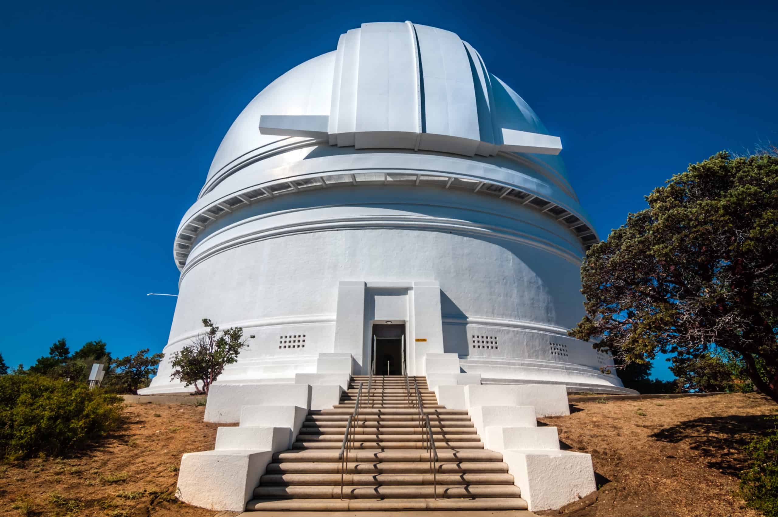 Palomar Hale