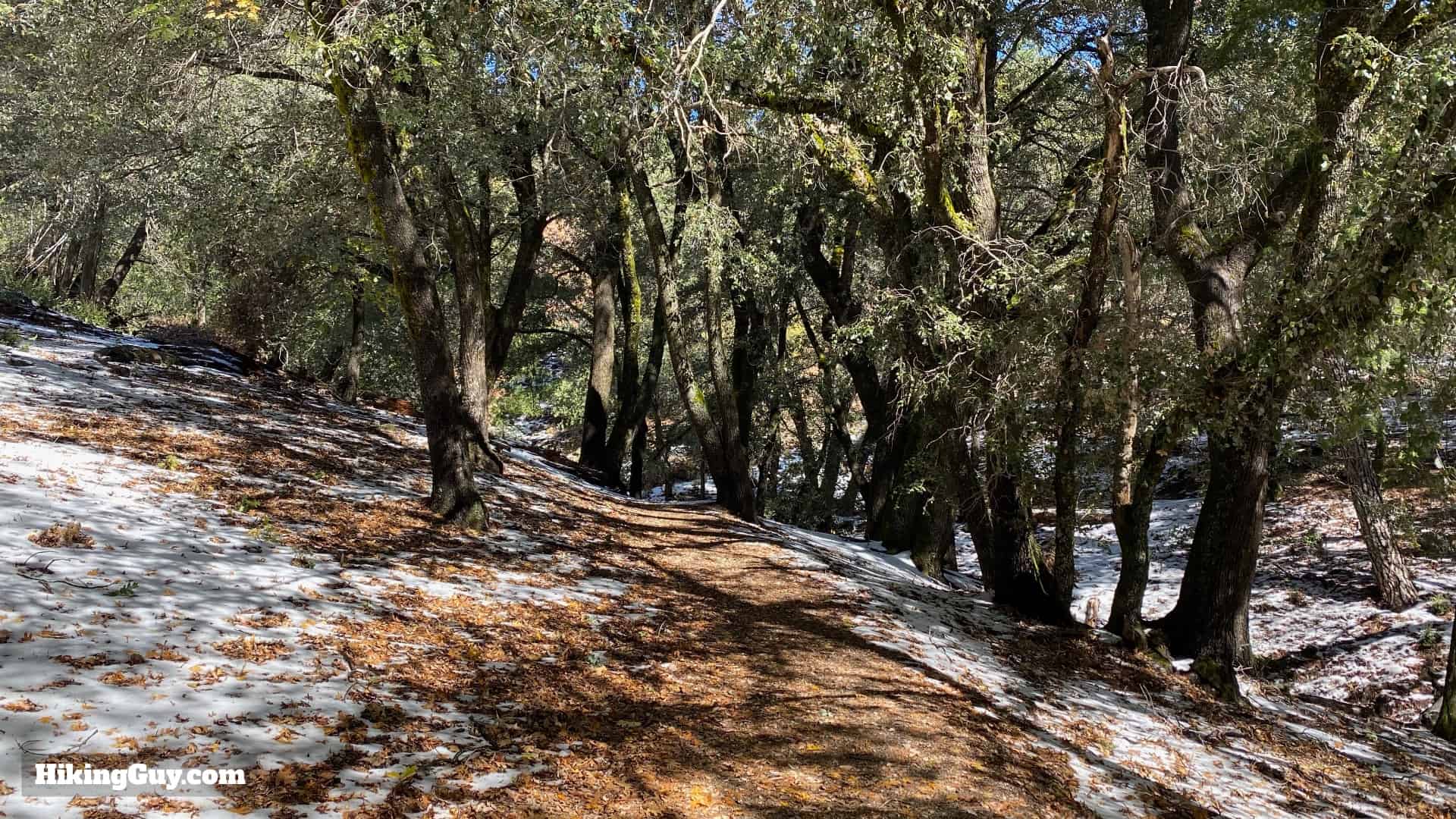Palomar Mountain Observatory Trail 10