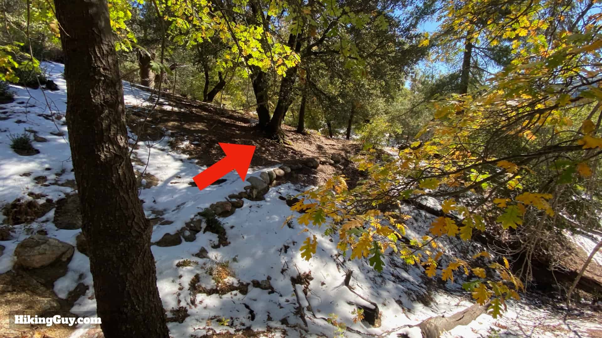 Palomar Mountain Observatory Trail 11