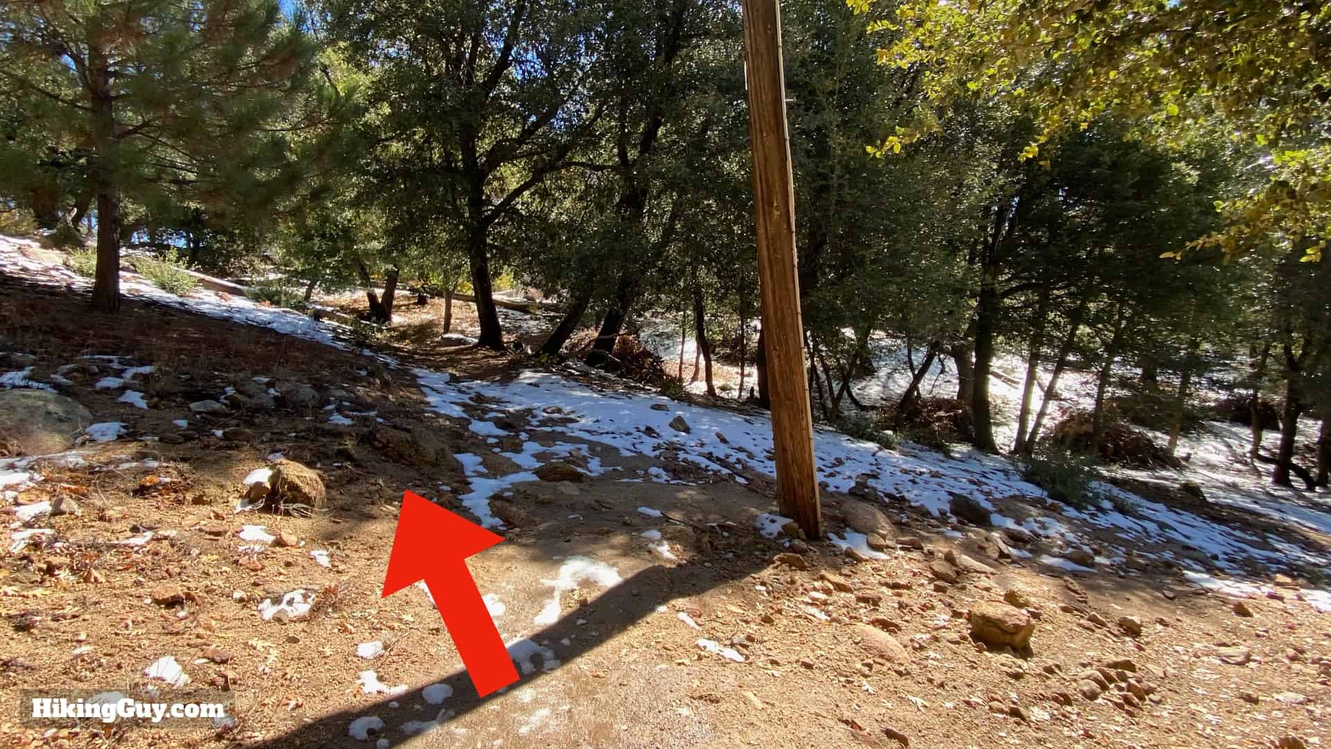 Palomar Mountain Observatory Trail 12