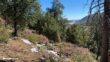 Palomar Mountain Observatory Trail 14