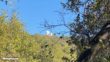 Palomar Mountain Observatory Trail 17