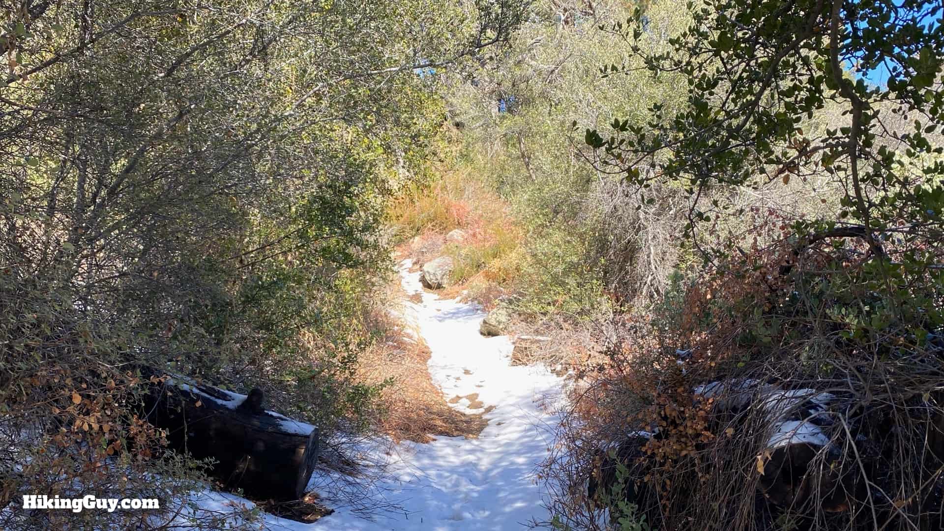 Palomar Mountain Observatory Trail 18