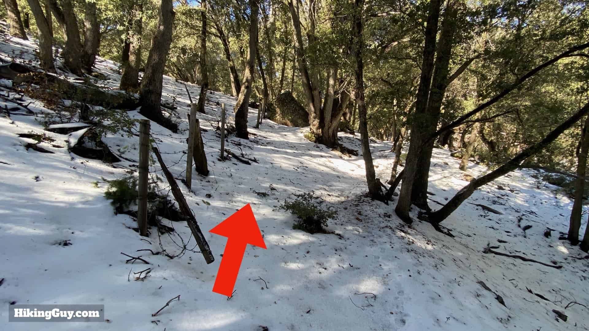 Palomar Mountain Observatory Trail 21