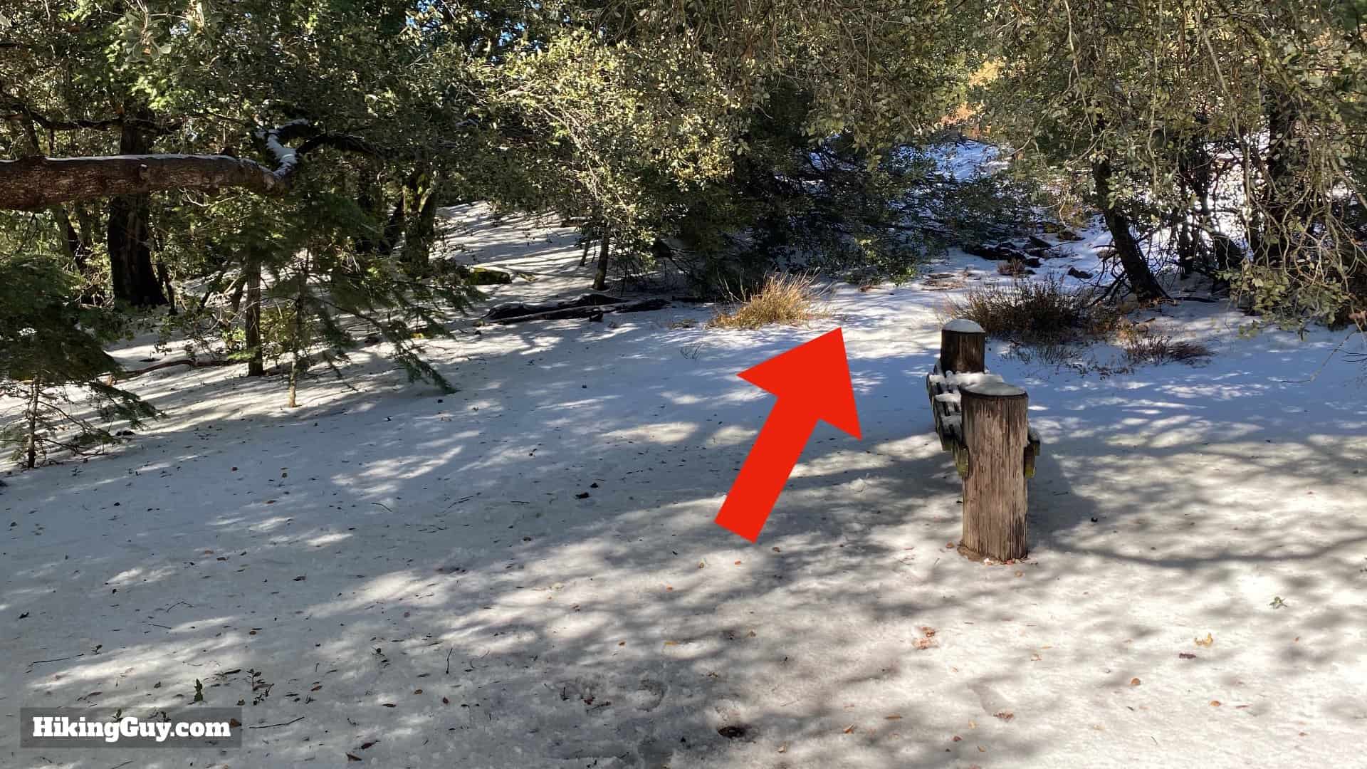 Palomar Mountain Observatory Trail 26