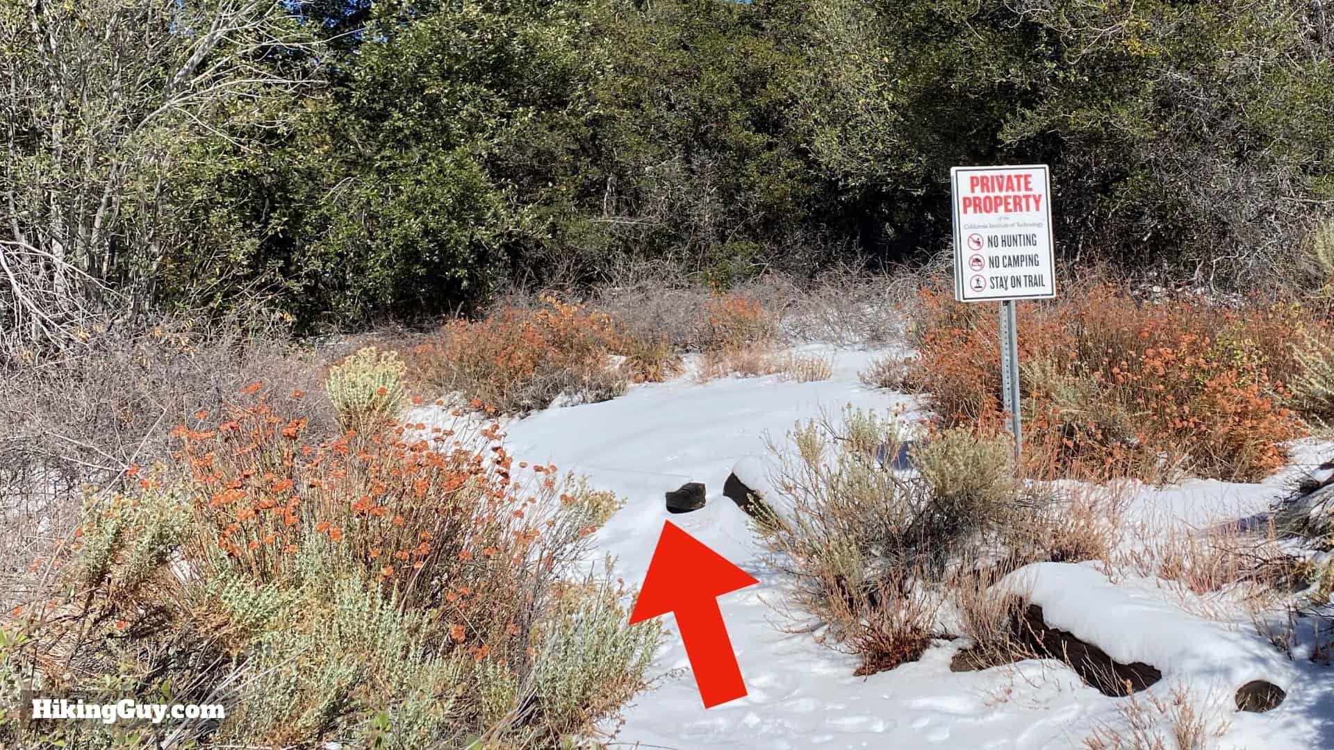 Palomar Mountain Observatory Trail 27