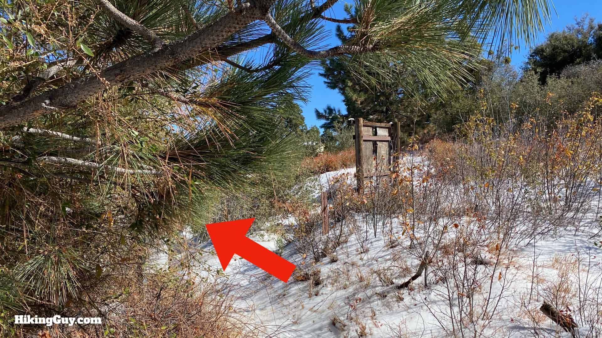 Palomar Mountain Observatory Trail 28
