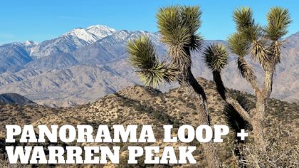 Panorama Loop and Warren Peak (Joshua Tree)