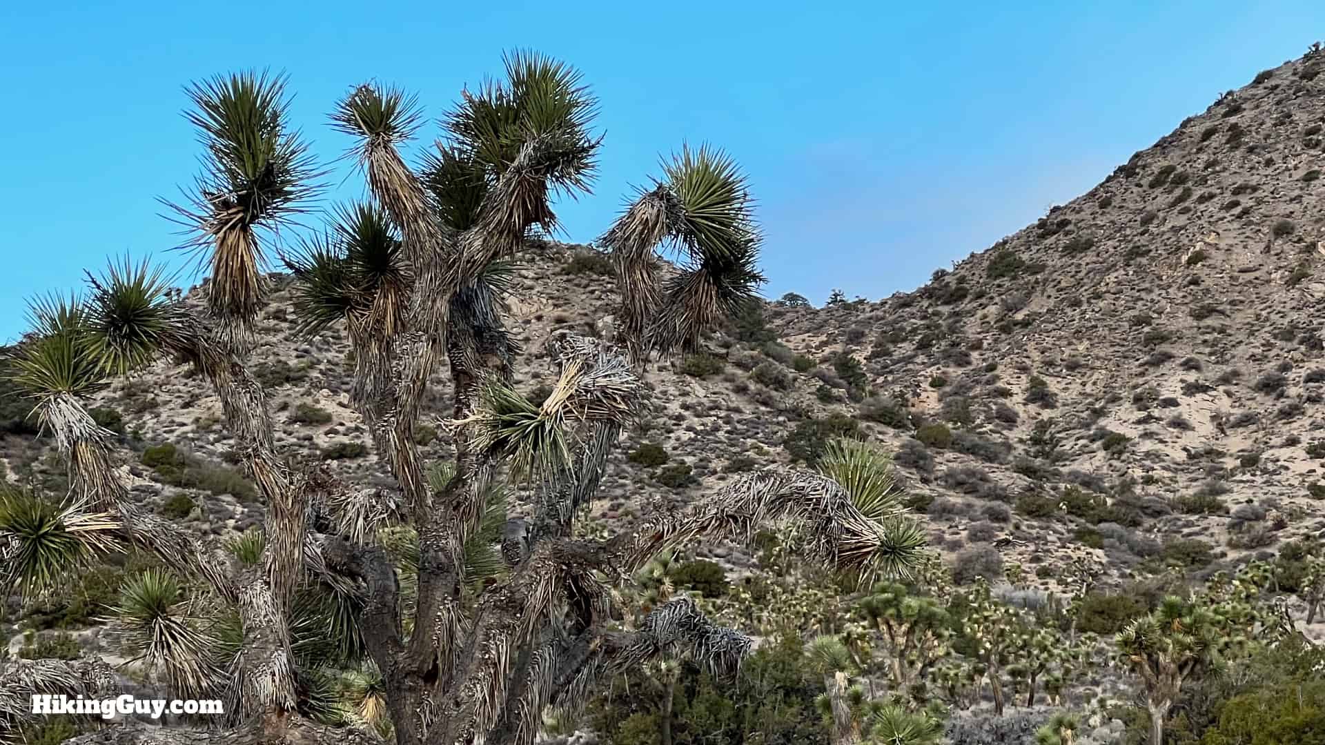 Panorama Loop And Warren Peak Directions 13