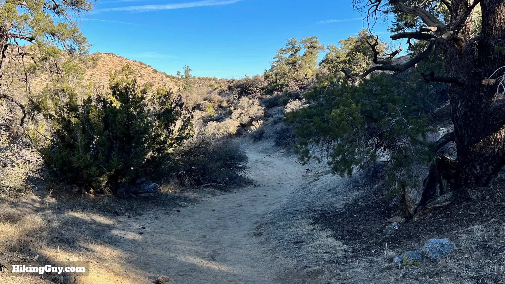Panorama Loop And Warren Peak Directions 35