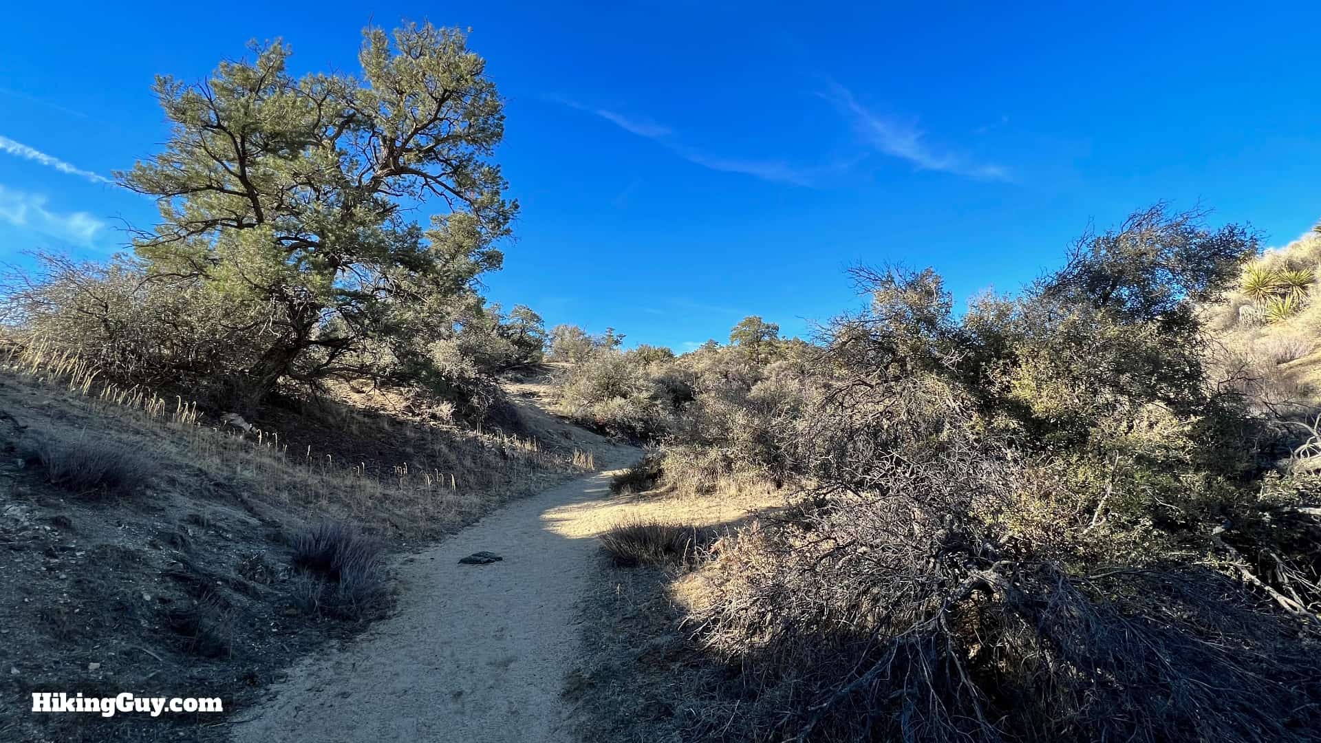 Panorama Loop And Warren Peak Directions 37