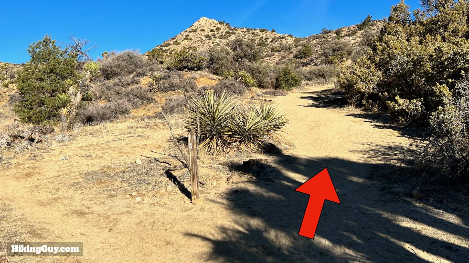 Panorama Loop And Warren Peak Directions 38