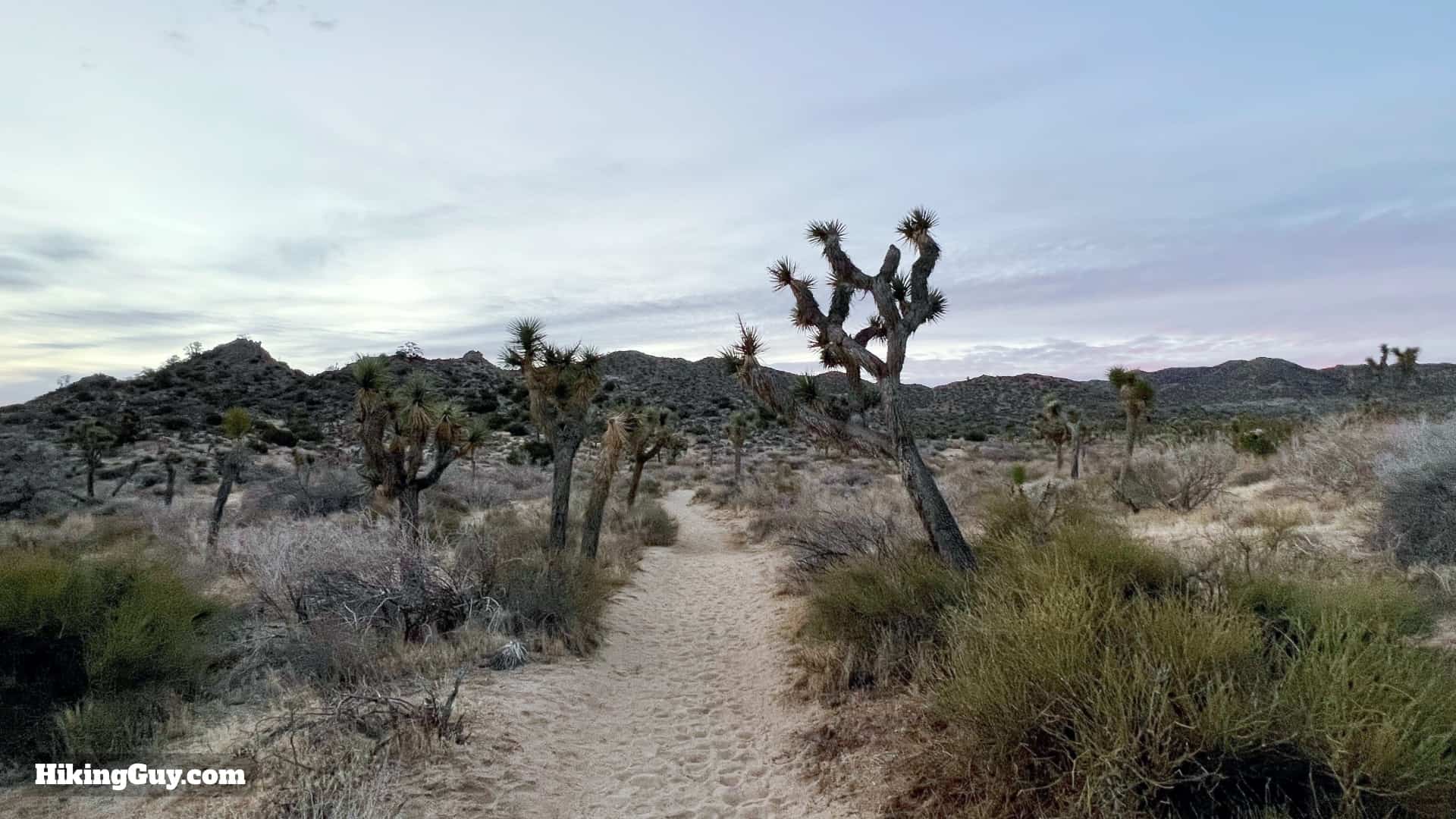 Panorama Loop And Warren Peak Directions 4