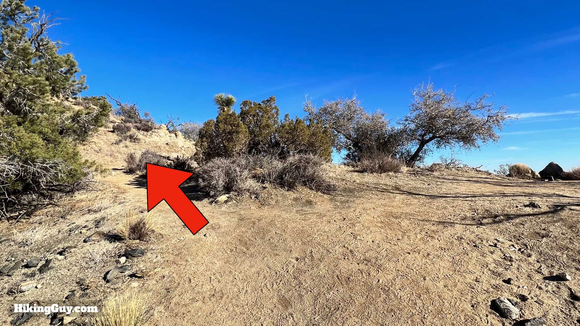 Panorama Loop And Warren Peak Directions 40