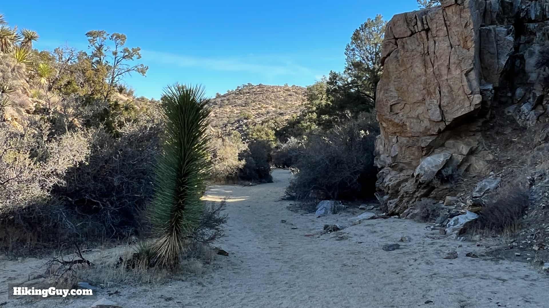 Panorama Loop And Warren Peak Directions 45