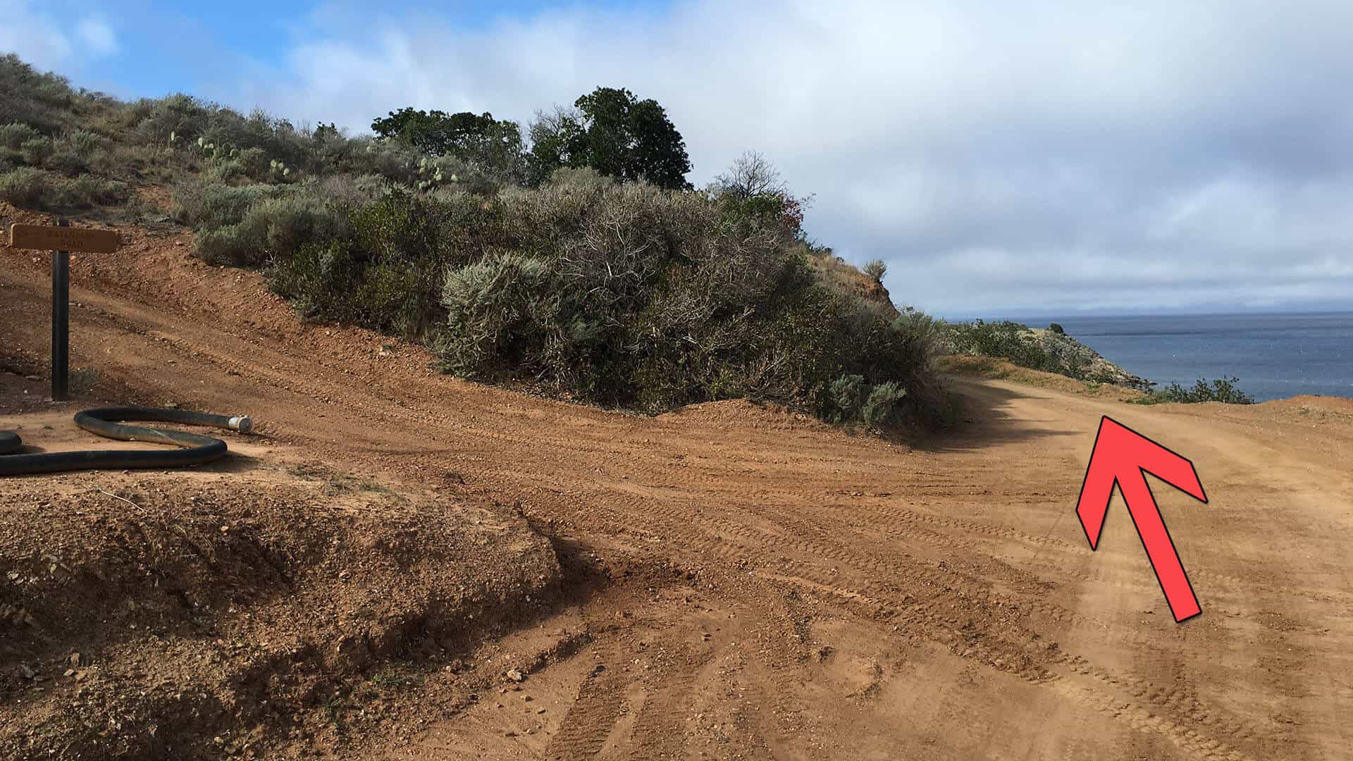 Parsons Landing trail