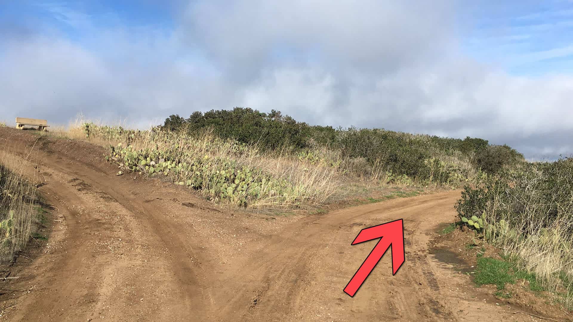 Parsons Landing trail