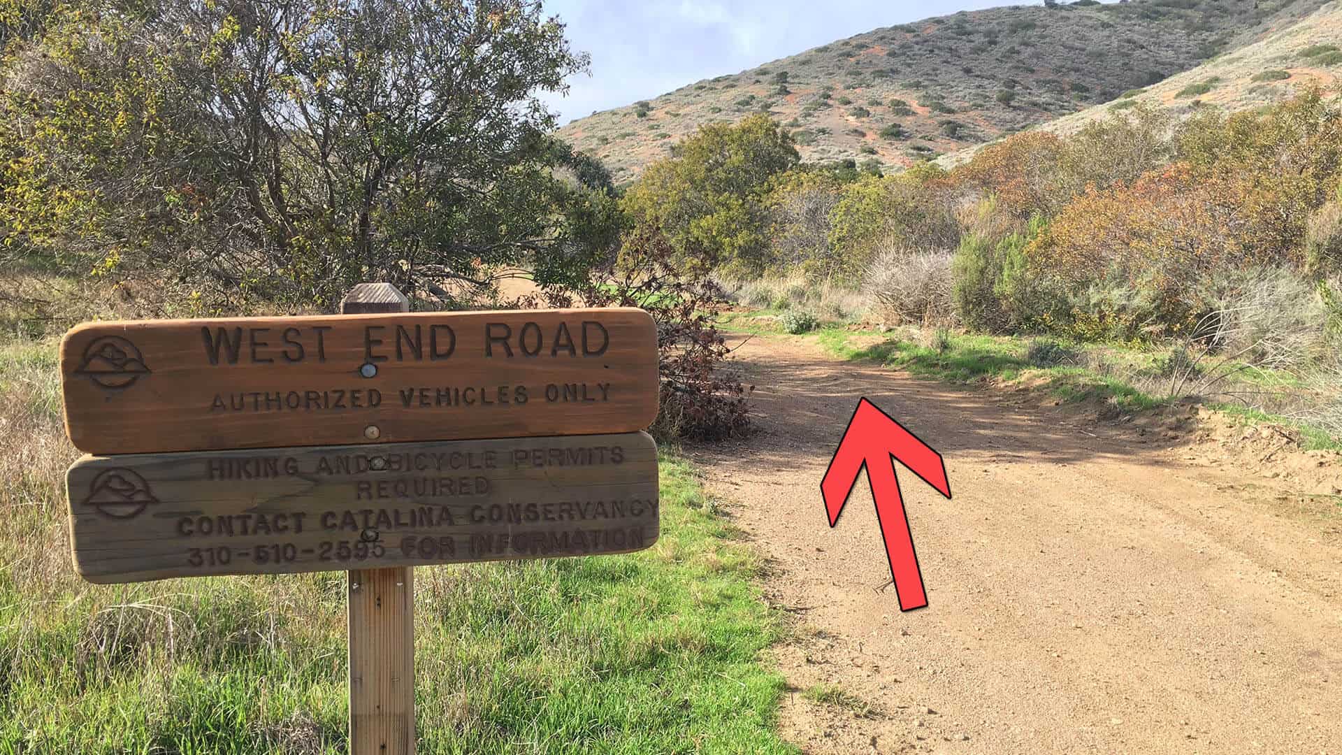 Parsons Landing trail