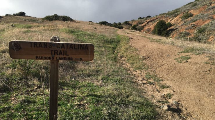 Trans-Catalina Trail