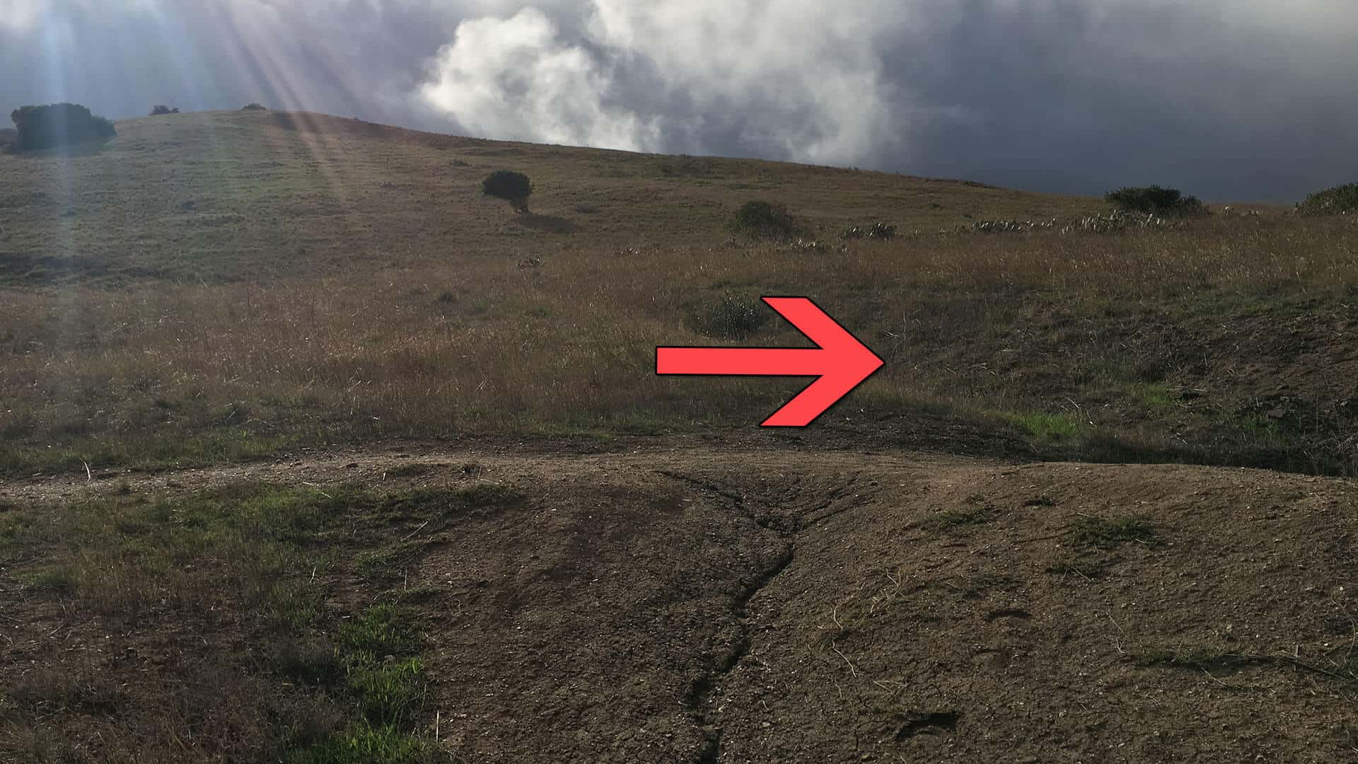 Trans-Catalina Trail