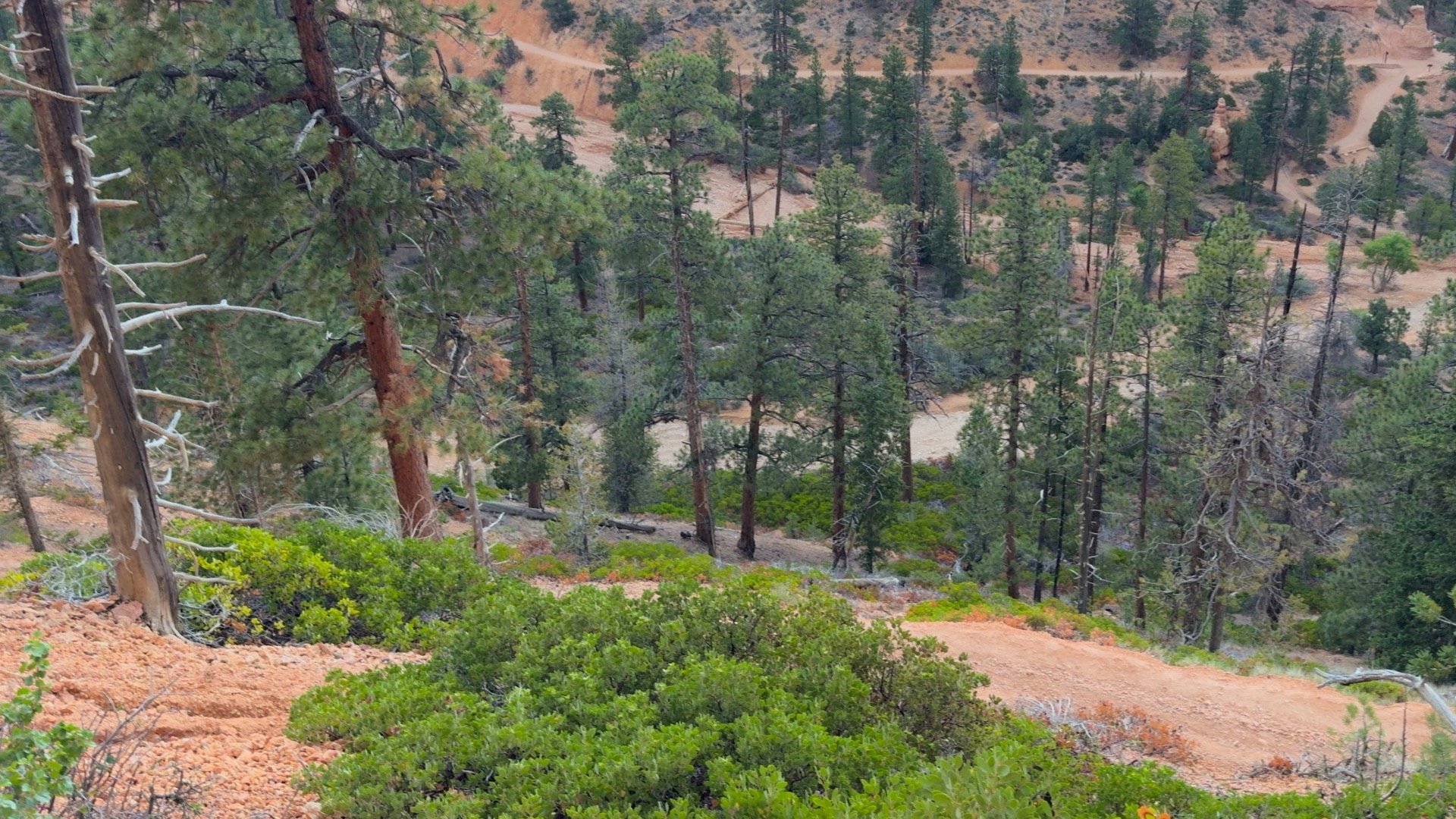 Peekaboo Loop Trail Directions 12