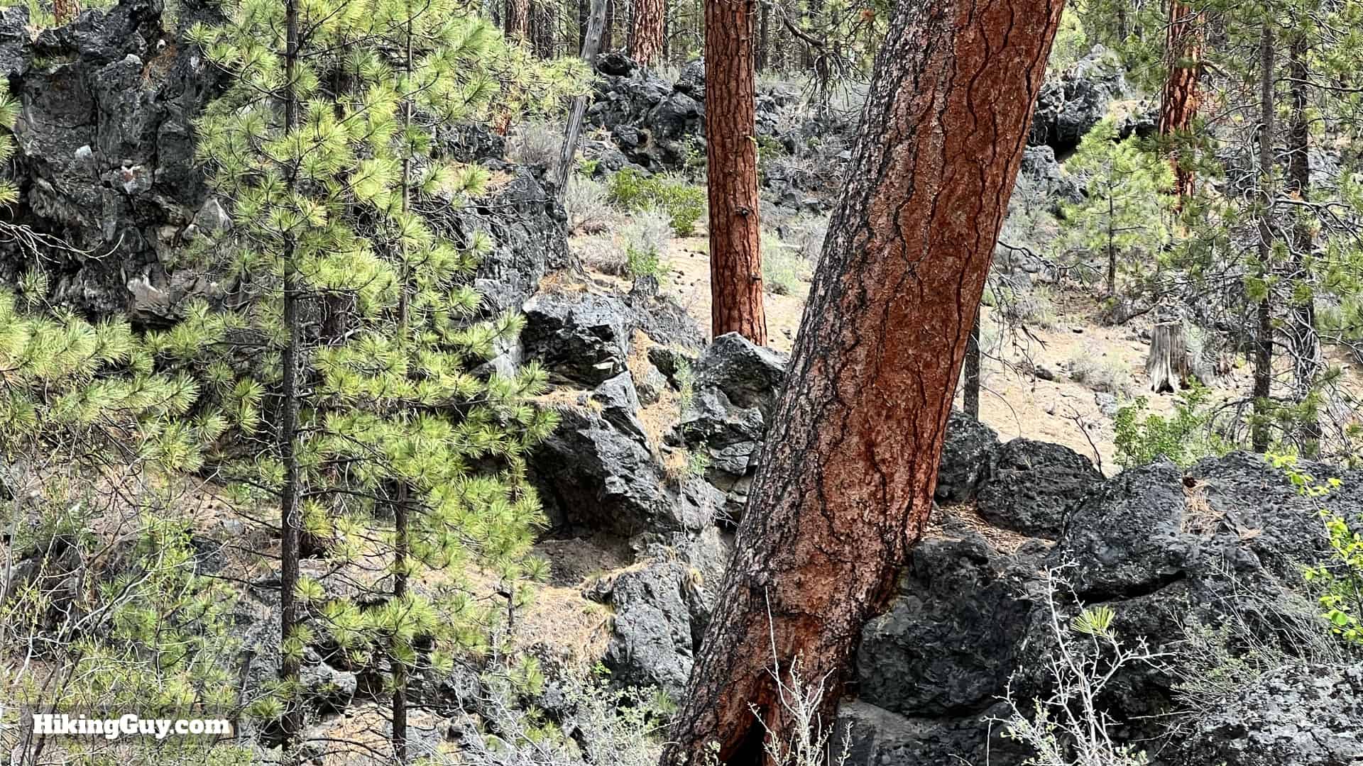 Peter Skene Ogden Trail Directions 12