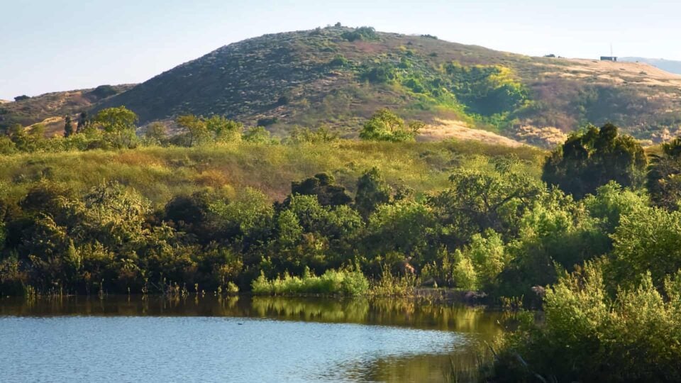 Peters Canyon Hike Featured