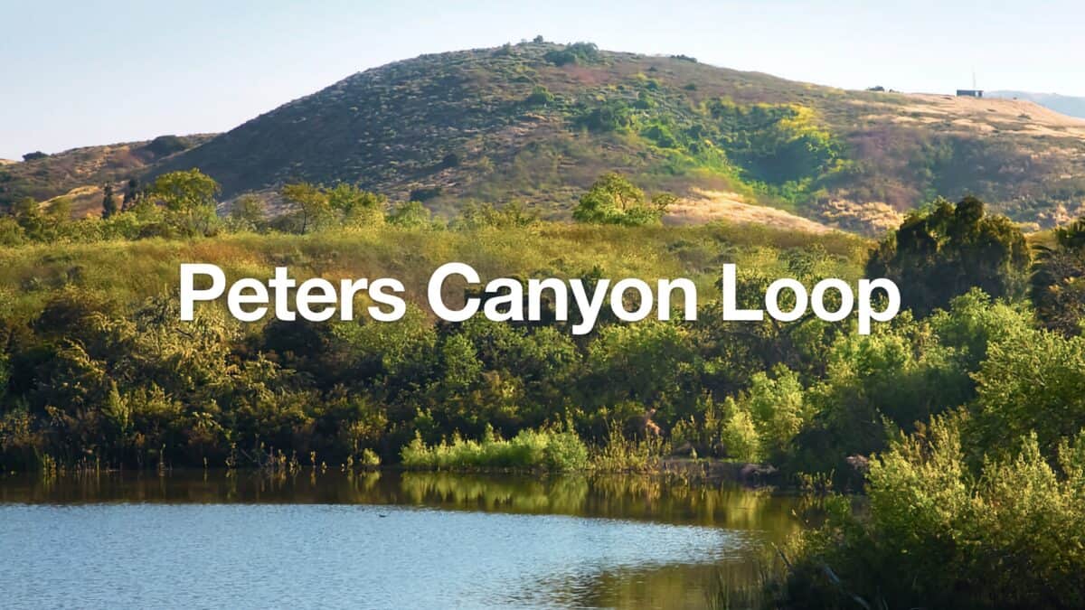 Peters Canyon Hike