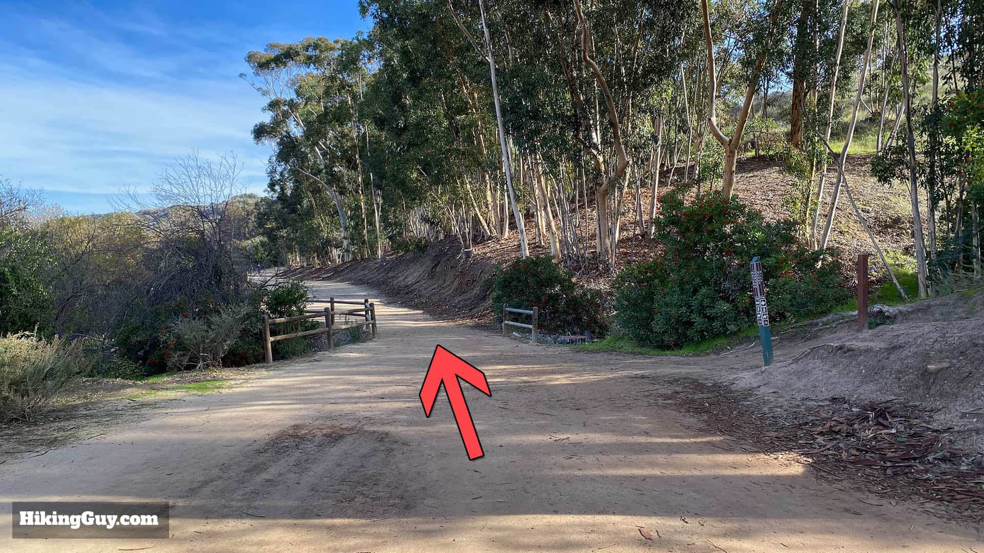 Peters Canyon Hike Update 29