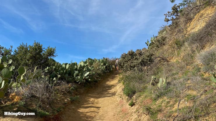 Peters Canyon Hike Update 37